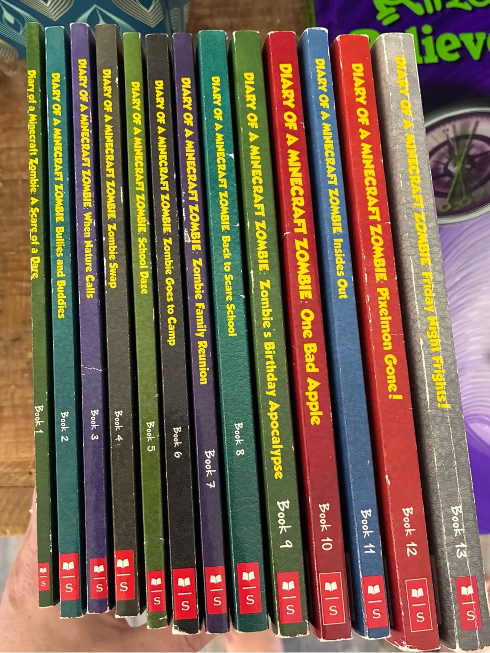 Complete Minecraft diary book set